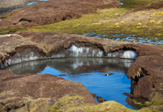 Man measures the soil