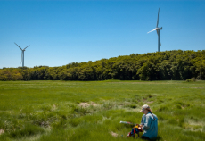 Man measures the soil