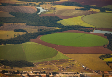 Man measures the soil