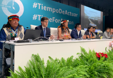 Man measures the soil