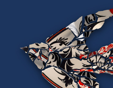 image-of-a-bird-wing-made-up-of-a-broken-plate