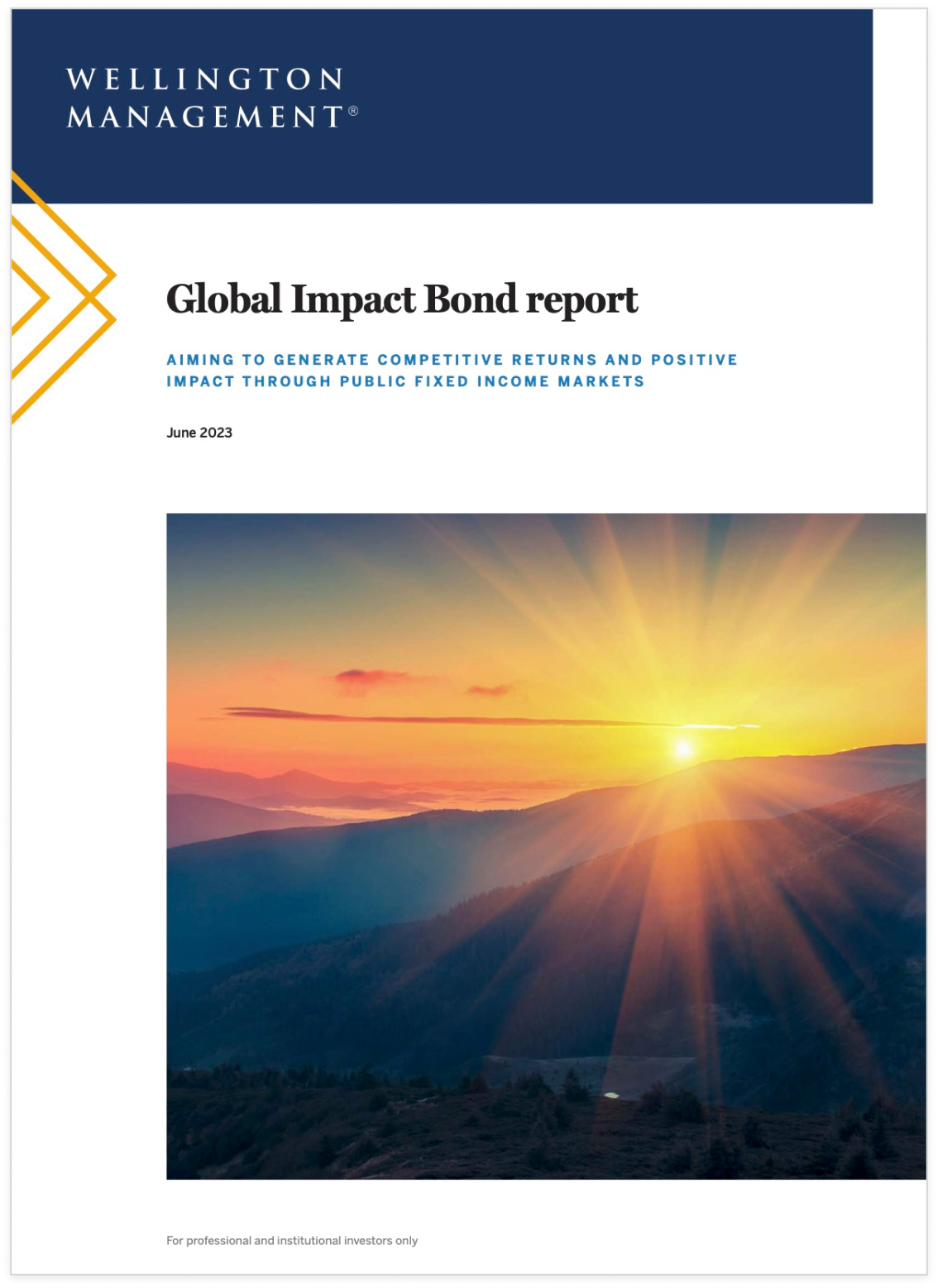 Global Impact Bond-Bericht