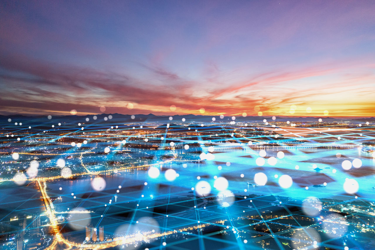 Wellington Ecosystem