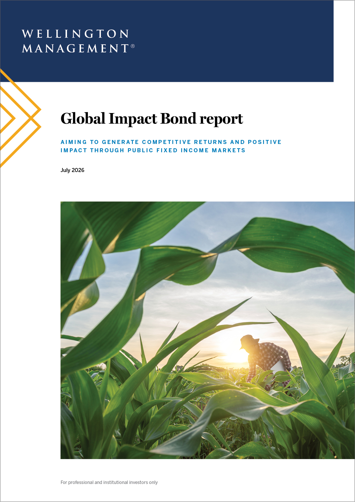 Global impact bond report
