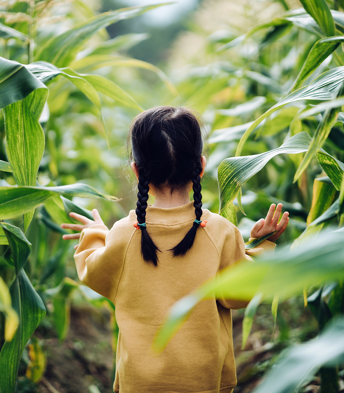 girl in corn field