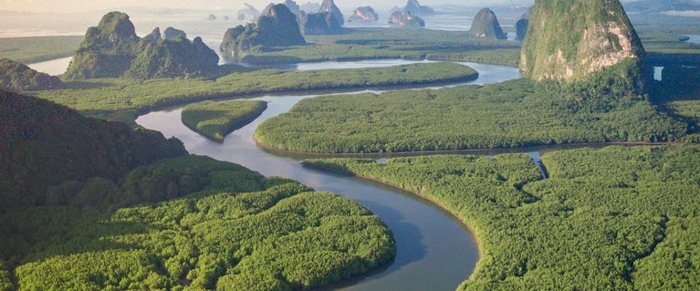 climate report 2021 insight image