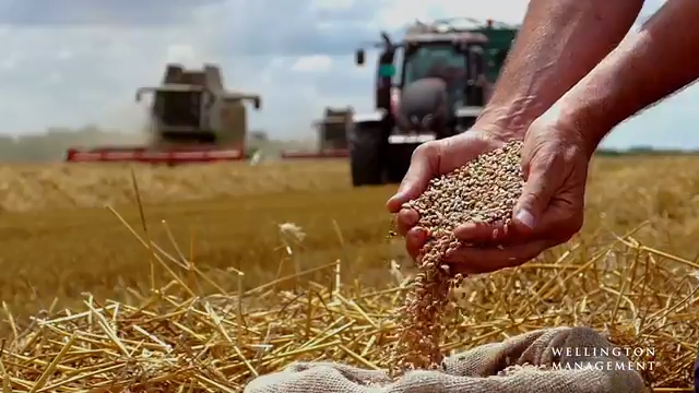 Farmer working in the field