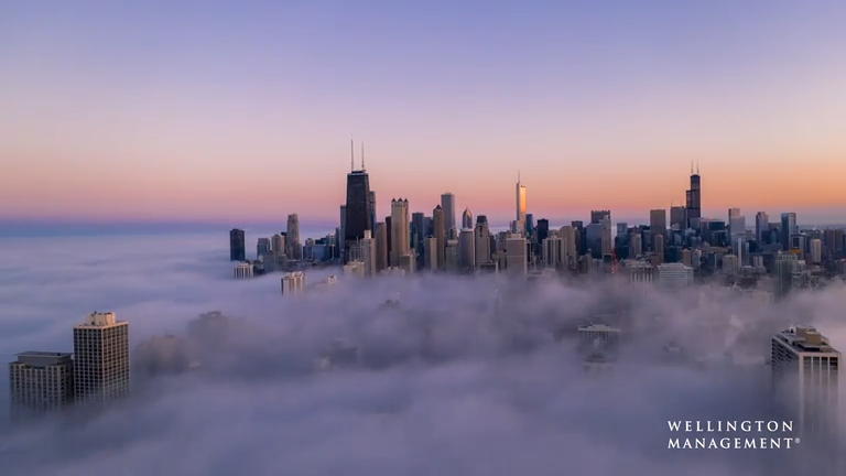 sky view of the city