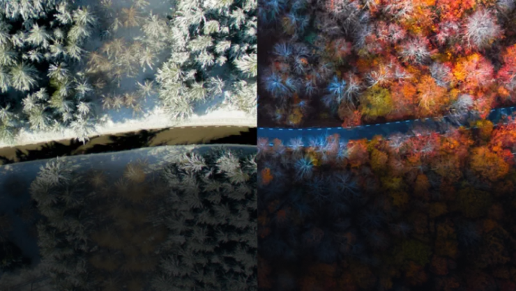 Wellington Ecosystem